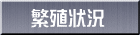 繁殖状況