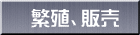 繁殖、販売